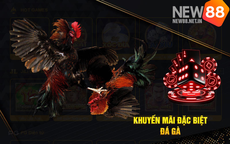 Khuyến-Mãi-Đặc-Biệt-Đá-Gà