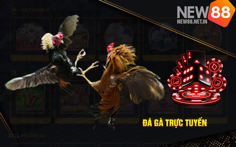 daga-new88